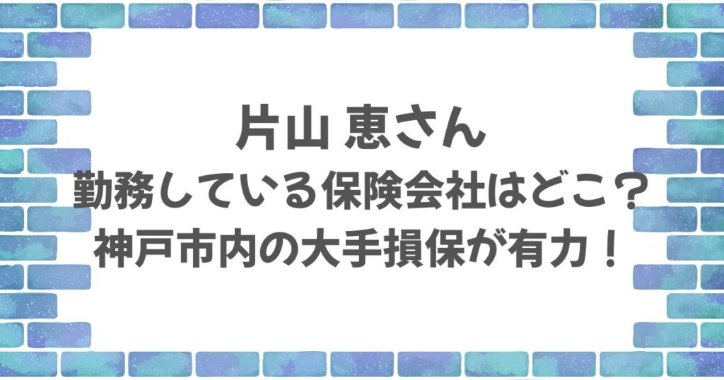片山恵さんの保険会社はどこ？