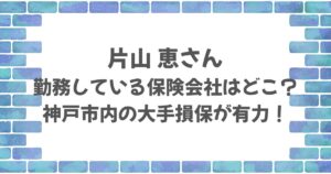 片山恵さんの保険会社はどこ？